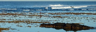 Mare basse dans le lagon de St-Pierre