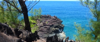 Pointe de l'Anse des Cascades - Ste-Rose