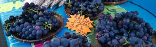 12 janvier 2019 - March forain de St-Pierrre - raisins de Palmiste Rouge