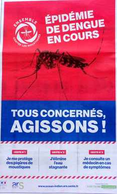 26 mai 2019 - St-Pierre - Fte des mres et lections europennes - Epidmie de dengue en cours (pub ARS)