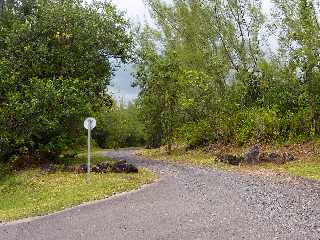 Grand Brl - Route des laves - Piste menant vers le site des statues de Mayo (recouvertes lors de l'ruption d'avril 2007)