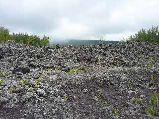 Grand Brl - Route des laves - Coule 2002