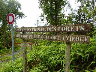 Grand Brl - Route des laves - Piste forestire Quai de la vierge