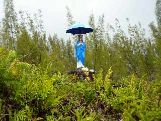 Grand Brl - Route des laves - Site de la Vierge au parasol