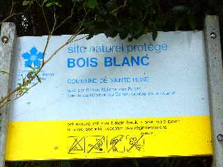 Bois Blanc, site naturel protg