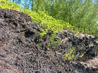 Coules de Fvrier 2005 - Piton de la Fournaise -