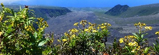 Point de vue du Nez Coup sur les Grandes Pentes