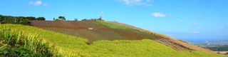 3 octobre 2014 - Monte au sommet du Piton de Bassin Martin