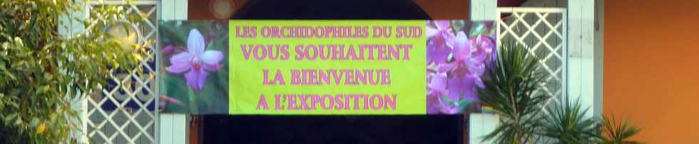 5 octobre 2014 - Ravine des Cabris - Exposition Orchidophiles du Sud - Salle Moulin  Caf