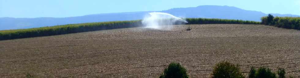 19 octobre 2016 - St-Pierre - Chemin de Bassin Plat - Irrigation canne  sucre