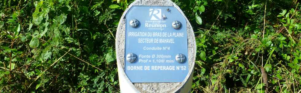7 avril 2017 - St-Pierre - Ravine des Cabris - Dassy -Borne de reprage SAPHIR