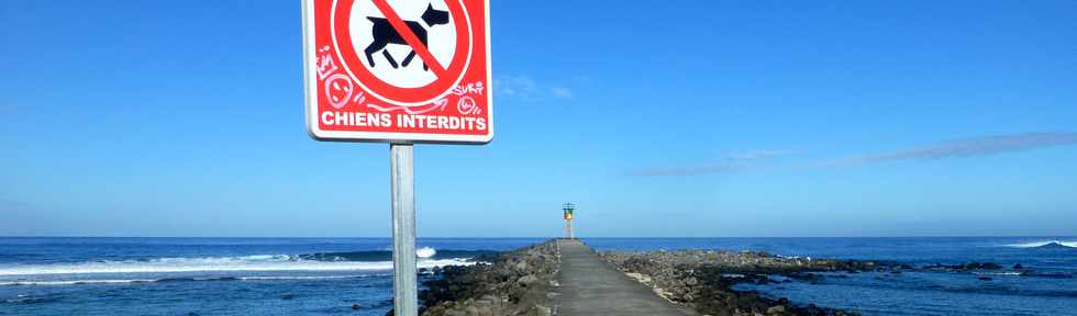 19 mai 2017 - St-Pierre - Terre Sainte - Chiens interdits sur la jete et la plage