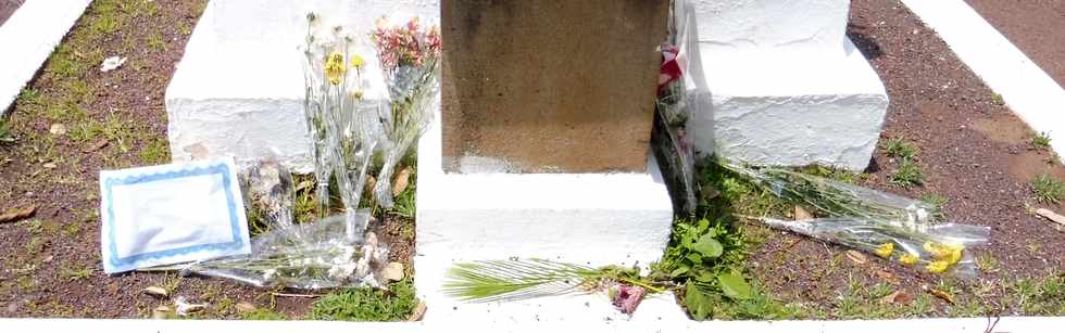 11 novembre 2018 - St-Pierre - Monument aux morts place de l'htel de ville - Dpt de fleurs par des lves de l'cole Louis Pasteur