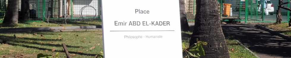 31 mars 2019 - St-Pierre - Badamier attaqu par les carias  Place Emir Abd El-Kader