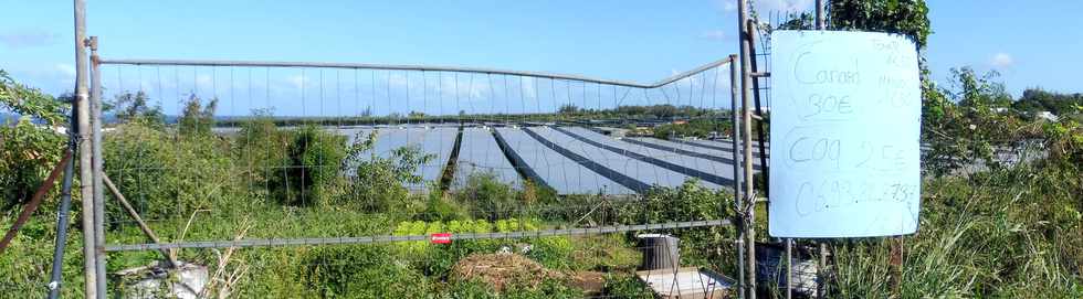 30 juin 2019 - St-Pierre - Pierrefonds - Ferme photovoltaque